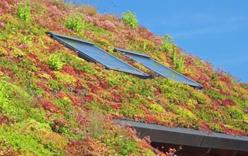 Throxenby living roof systems